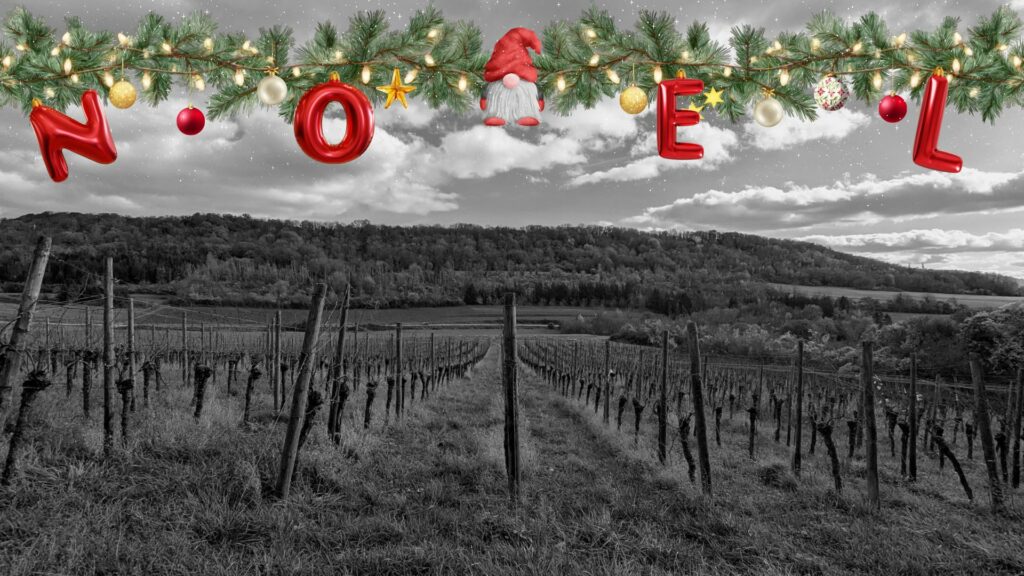 marange-silvange, vignes