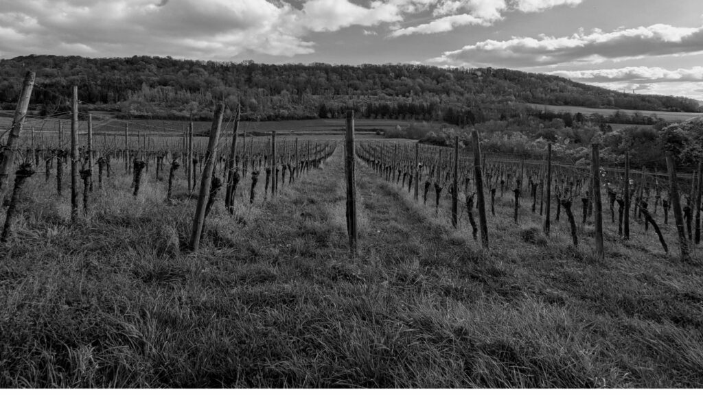 briquet-muller vin moselle marange